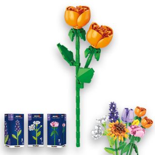 Flower Fusion Rose Chinensis - Altezza 27 cm | 100 pezzi