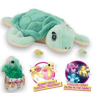 Mammy Surprise Turtle Col.Green